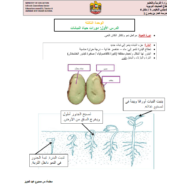 العلوم المتكاملة ملخص (دورات حياة النباتات) للصف الثالث
