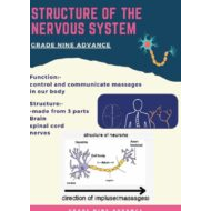 ملخص STRUCTURE OF THENERVOUS SYSTEMGRADE العلوم المتكاملة الصف التاسع