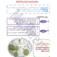 العلوم المتكاملة ملخص (دورة حياة النباتات) للصف الخامس