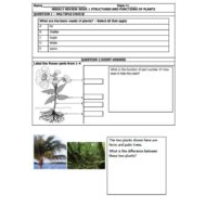 ورقة عمل STRUCTURES AND FUNCTIONS OF PLANTS العلوم المتكاملة الصف الرابع Inspire