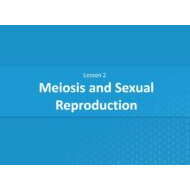 درس Meiosis and Sexual Reproduction الأحياء الصف العاشر - بوربوينت