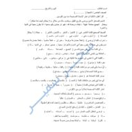مراجعة شاملة للامتحان اللغة العربية الصف الخامس