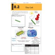 أوراق عمل The Cell العلوم المتكاملة الصف السادس