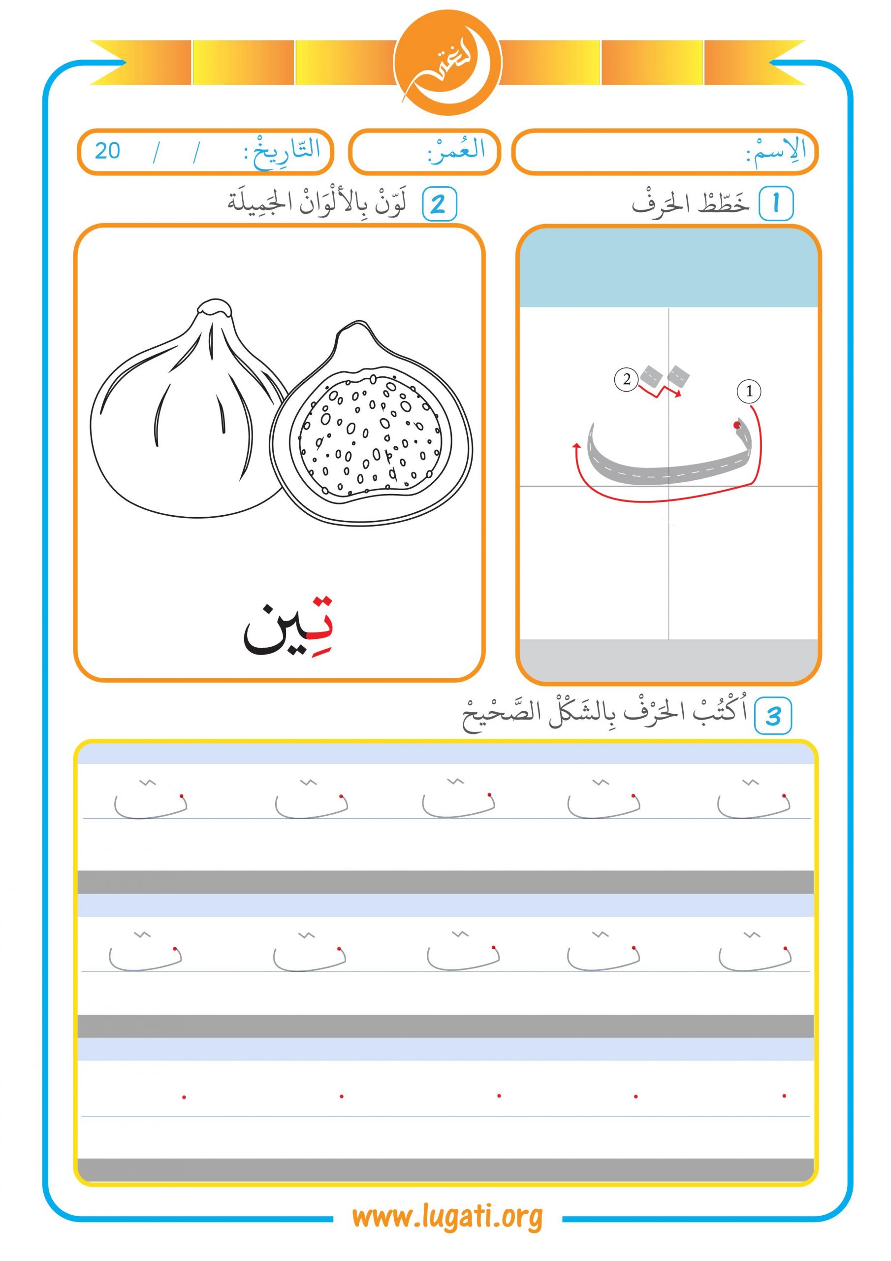 اشكال حرف التاء