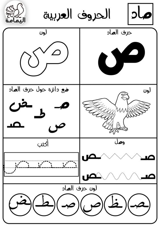 حرف الصاد تدريبات متنوعة لتعليم الأطفال الحرف بطرق مختلفة