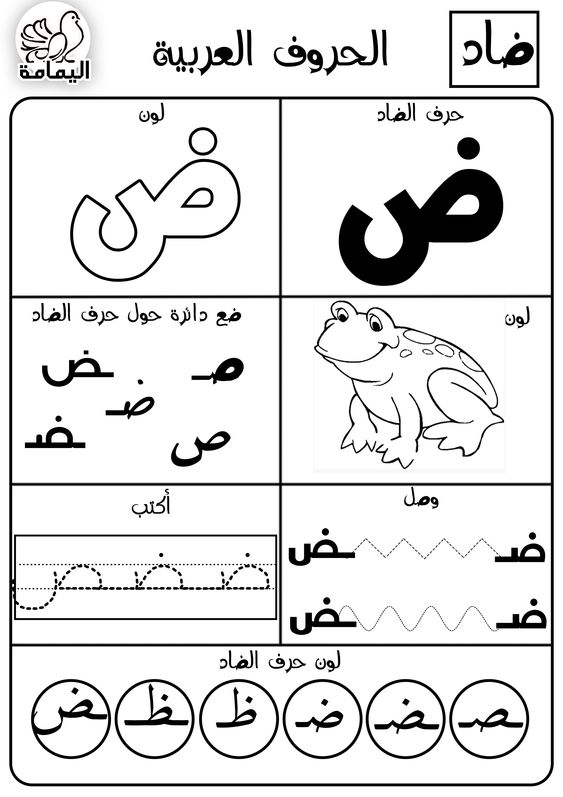 حرف الضاد تدريبات متنوعة لتعليم الأطفال الحرف بطرق مختلفة