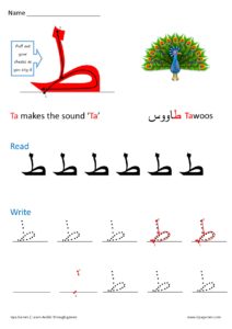 نشاط كتابي لتعليم طريقة كتابة حرف الطاء لغير الناطقين باللغة العربية