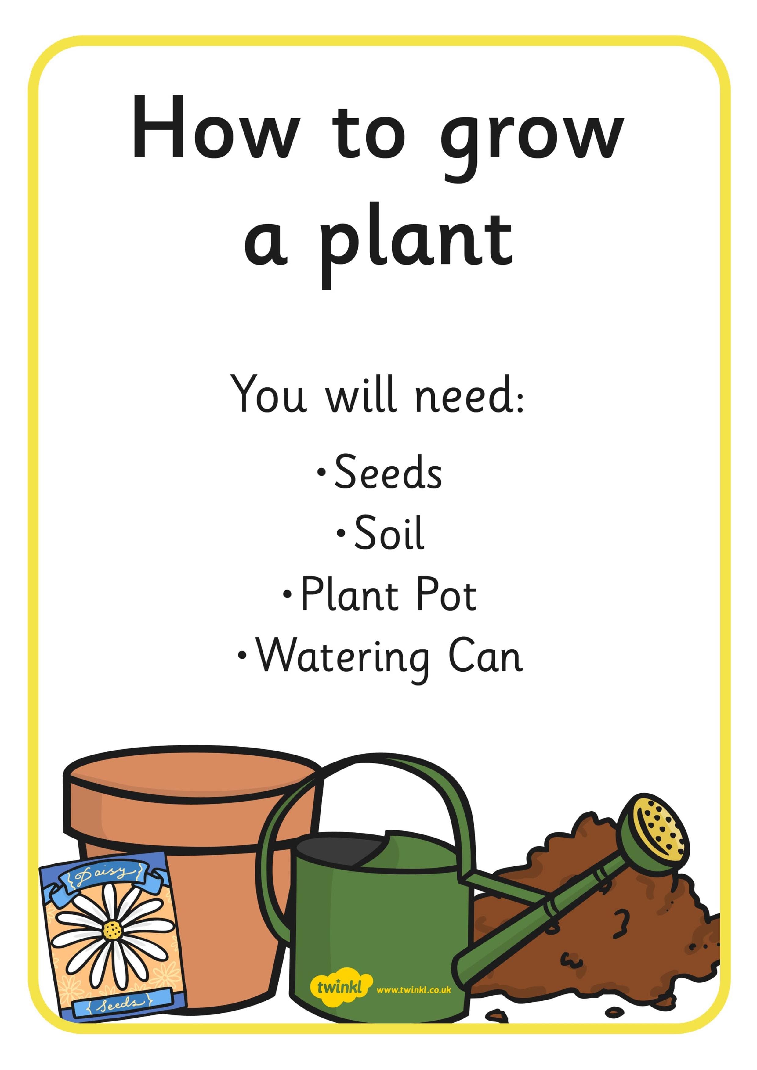 How to Grow a Plants From Seeds For Children