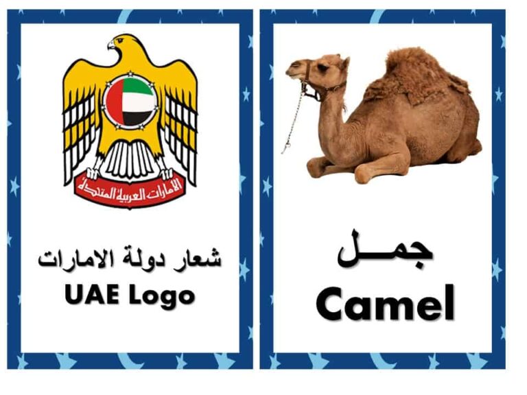 بوربوينت الهوية الوطنية لدولة الإمارات باللغة العربية والإنجليزية