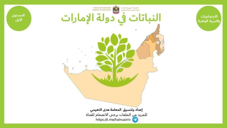 بوربوينت النباتات في دولة الإمارات العربية المتحدة