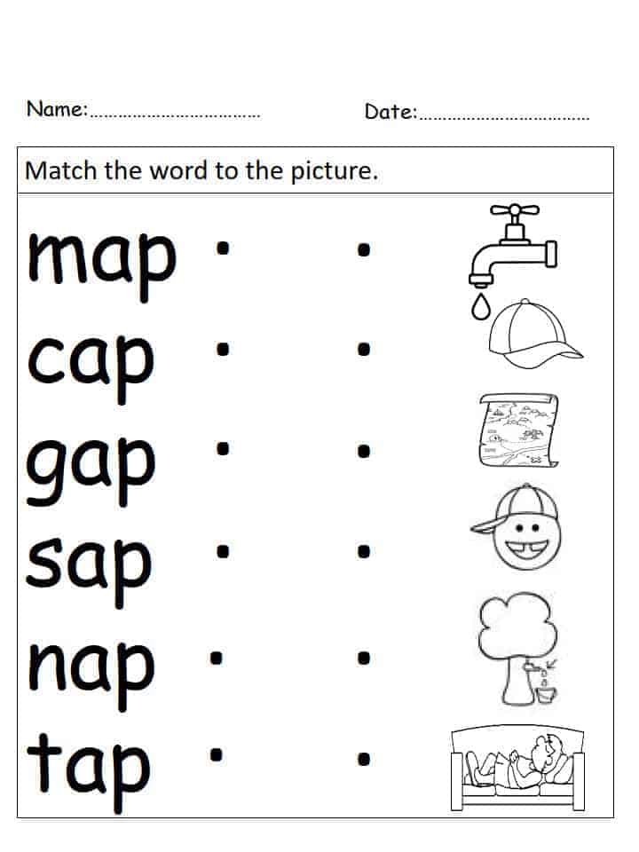 ap family words worksheet