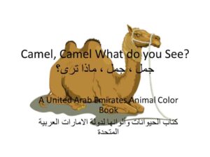 Camel What do you See