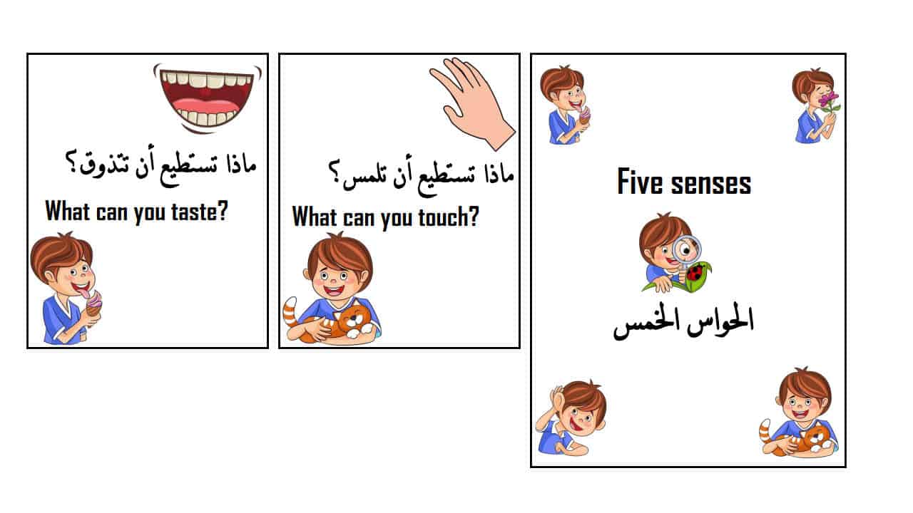 بطاقات الحواس الخمس