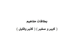 بطاقات مفاهيم كبير وصغير كثير وقليل