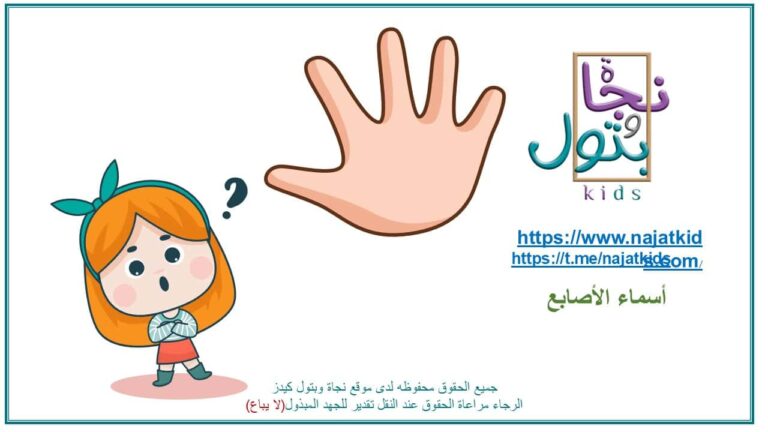 بوربوينت أسماء الأصابع