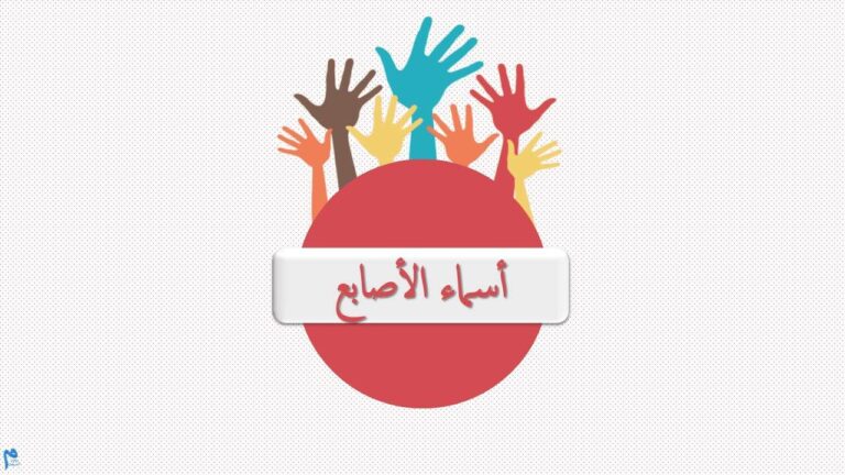 بوربوينت أسماء الأصابع