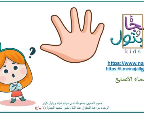 بوربوينت أسماء الأصابع